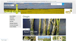 Desktop Screenshot of oregin.info